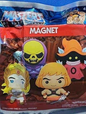MASTERS of the UNIVERSE Magnet