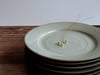 Assiette Skyr