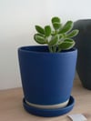 Pot à plante bleu