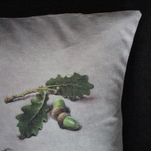 Image of Velvet Acorns Cushion