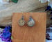 Image of Ammonite Fossil Earrings #4