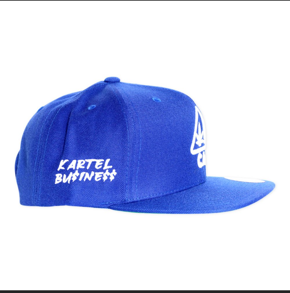 Junkie Kartel Hat (Kartel Businesss)