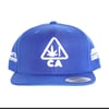 Junkie Kartel Hat (Kartel Businesss)