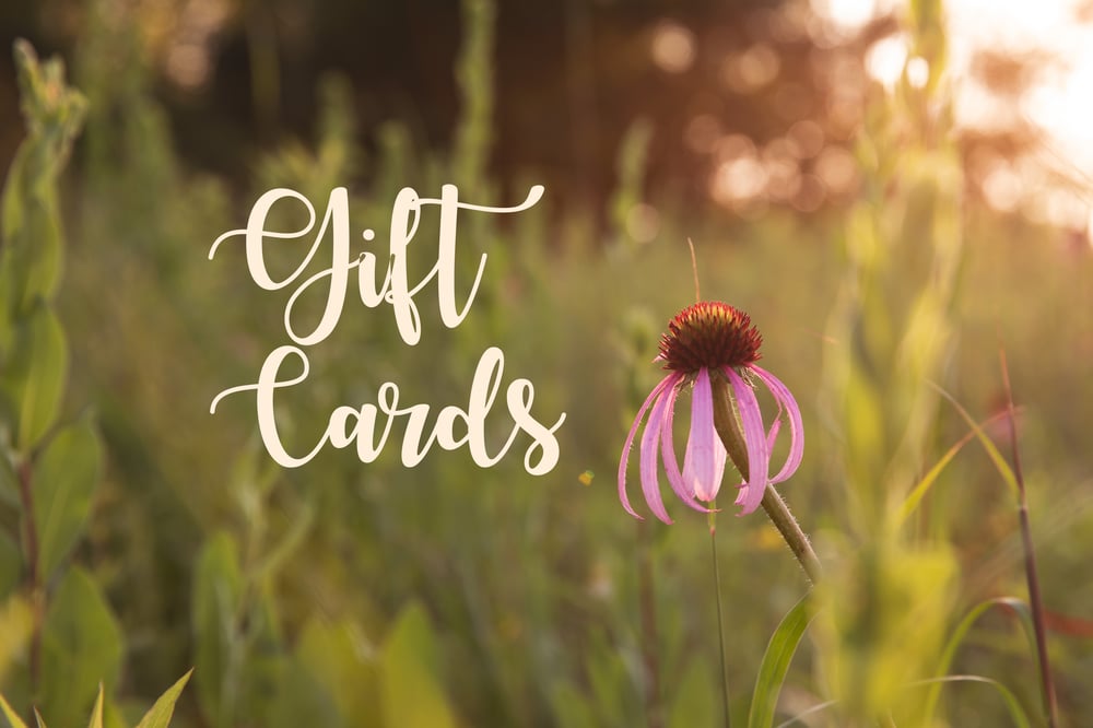 Image of Gift Card