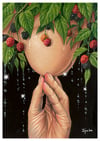 "Harvest after rain 1" Print (DP467)
