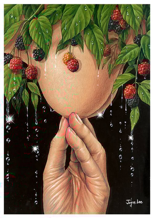 peinture-art-artistique-sein-fruit-sexy
