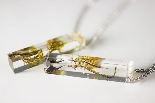Image of Long Rectangular Moss Specimen Necklace