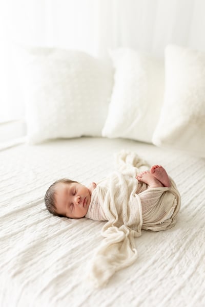 Image of JHP Newborn Session Gift Certificate