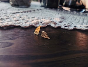 Image of Leaf stud earrings