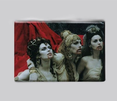 Image of Brides of Dracula - Bram Stoker's Dracula / Magnet