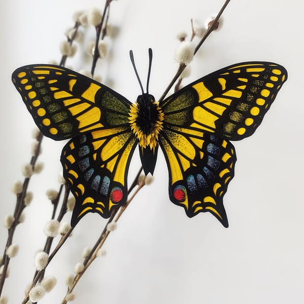 Image of Swallowtail