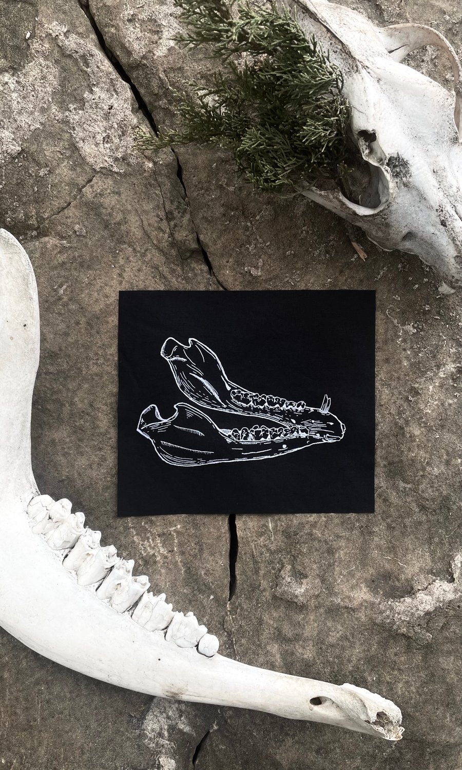 Image of JAWBONE SMALL PATCH