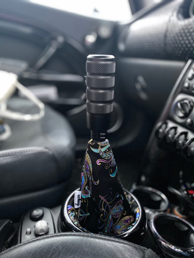 Black & purple feathers