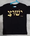 #106 YESHUA HEBREW