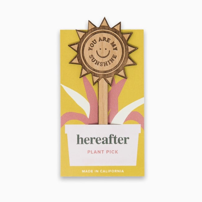 You Are My Sunshine Wood Plant Pick