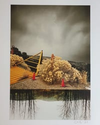 Image 1 of 'Growing Roots'  Framed