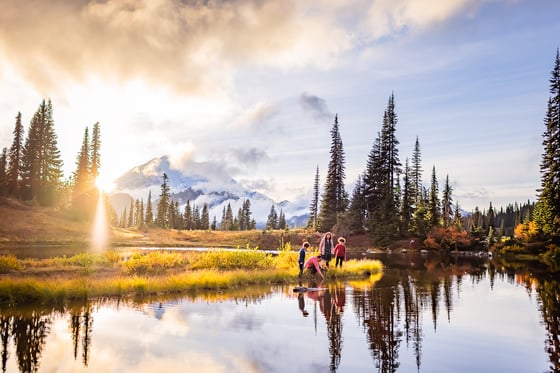 Image of Mt. Rainier ADVENTURE Session - SUMMER and AUTUMN  - $1600