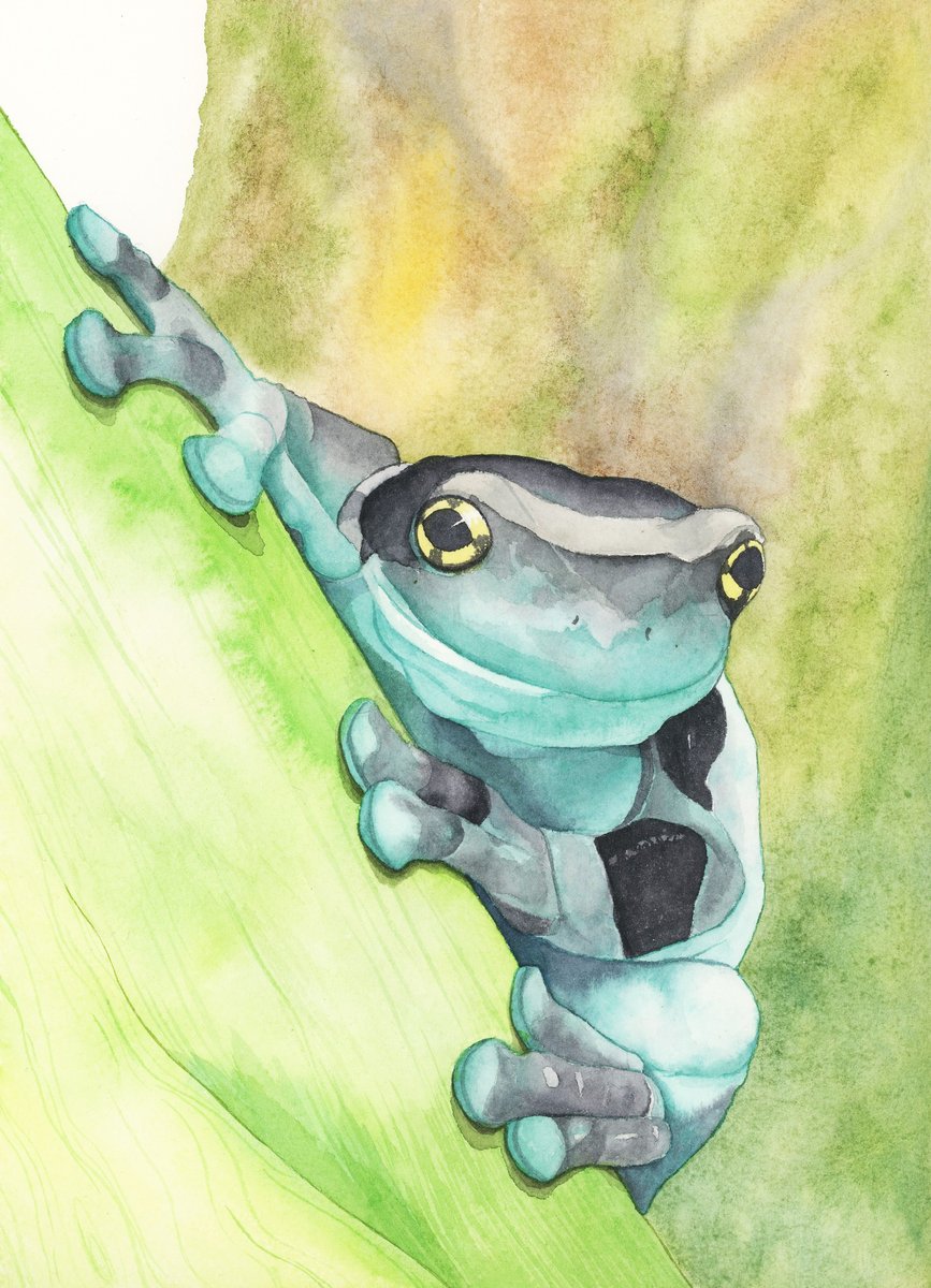 This little froggy with my Grabie watercolor pallet #letsgrabie : r/ Watercolor