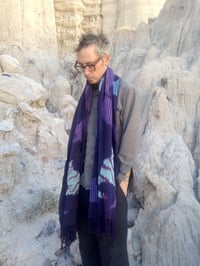 Image 3 of Cat and Stingray