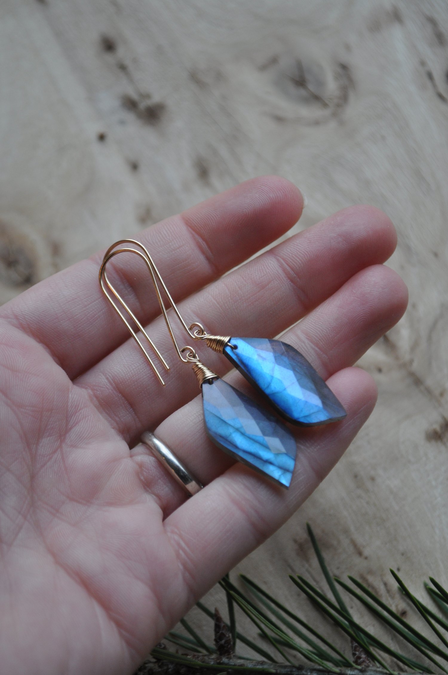 Image of Labradorite Wing Dangles on Gold Fill