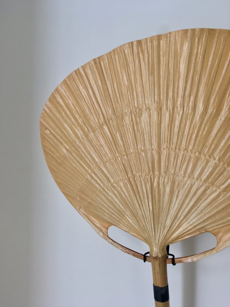 Image of Ingo Maurer Uchiwa Wall Lamp, Germany, 1970s (Reserved)