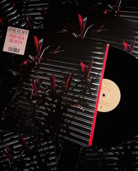 Fine Place [Frankie Rose + Matthew Hord] - This New Heaven LP (Color + Flexi 7")