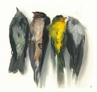 Image 1 of Pajaros 