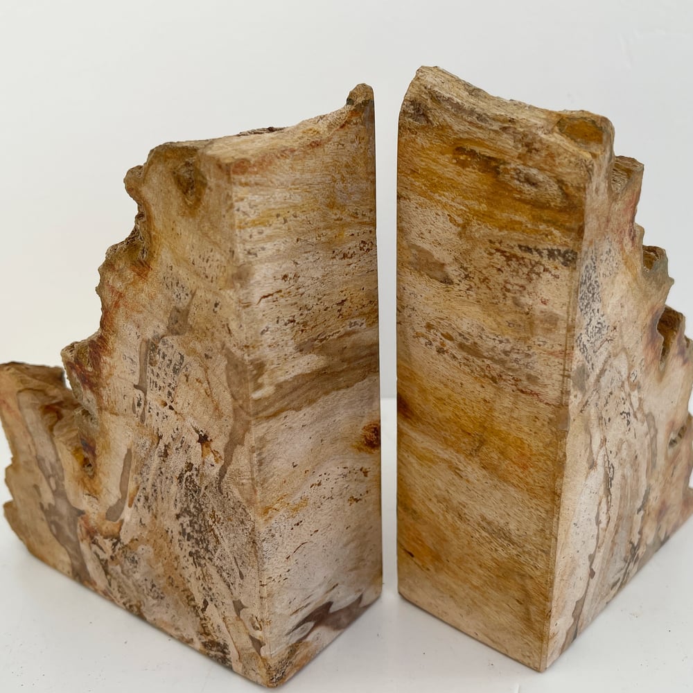 Image of Petrified Wood Bookends no.72