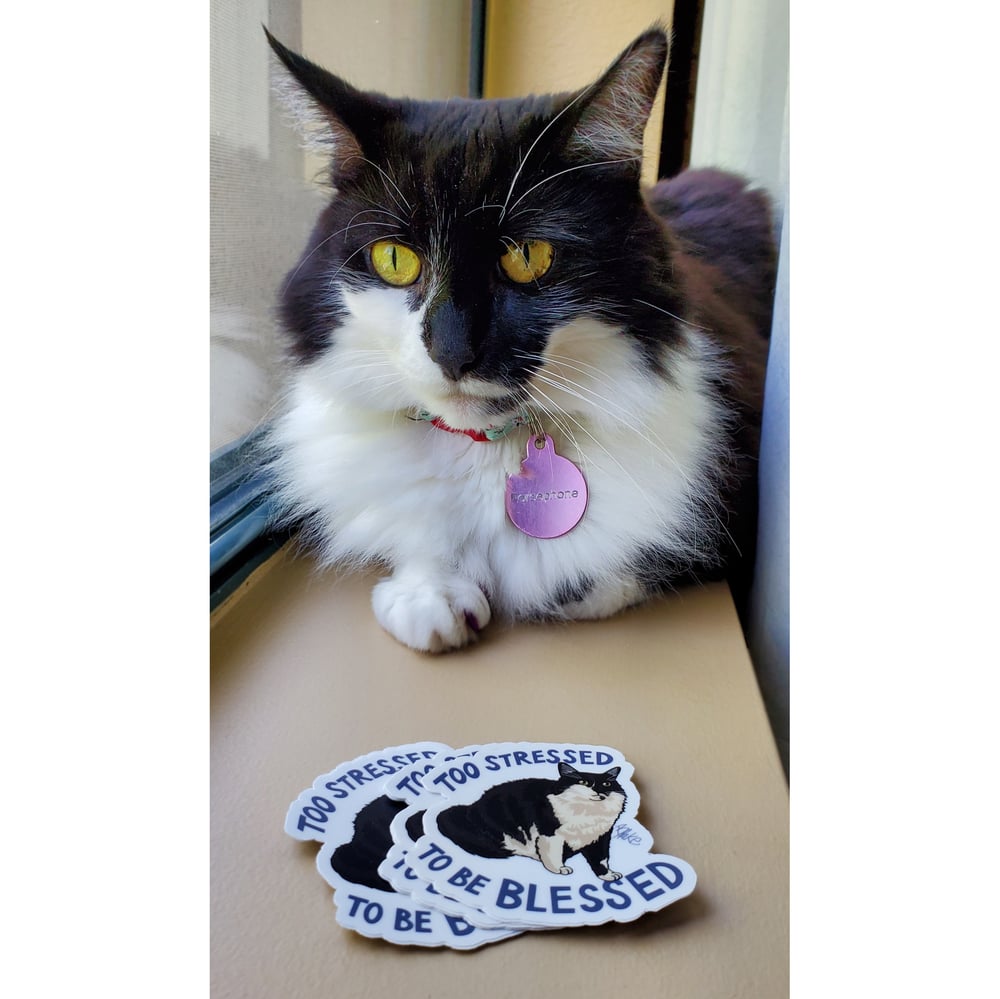 Image of Too Stressed To Be Blessed Sticker