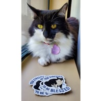 Image 2 of Too Stressed To Be Blessed Sticker