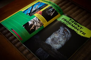 Image of Neil Bloem's Australian Wildlife ISSUE ONE (2021)