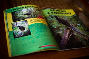 Image of Neil Bloem's Australian Wildlife ISSUE ONE (2021)