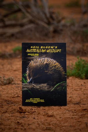 Image of Neil Bloem's Australian Wildlife ISSUE ONE (2021)
