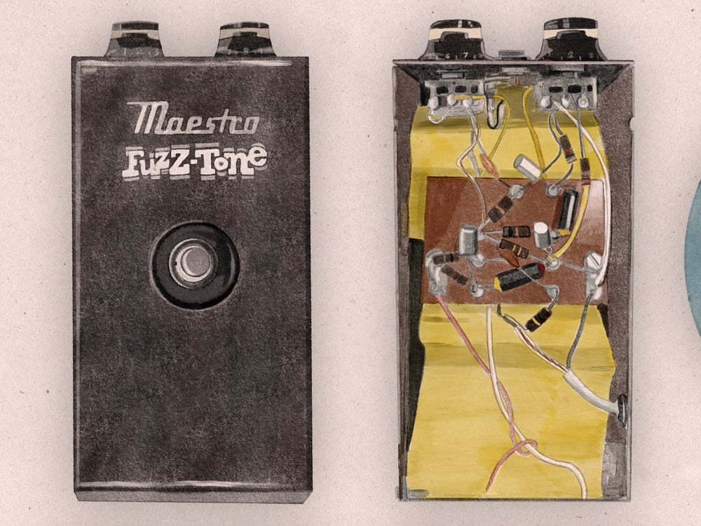 NEW! Fuzz and Guts