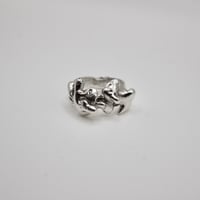 Image 2 of pretext ring
