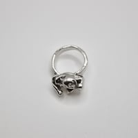Image 2 of diurnal ring 