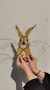 Wild Scottish Hare