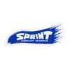 SCW Logo Slap