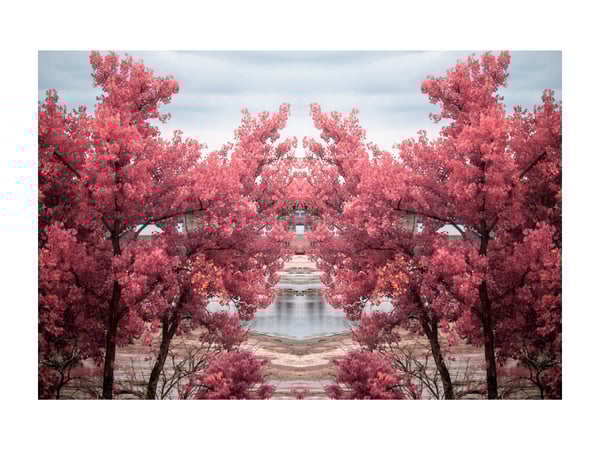 Image of Infrared #1