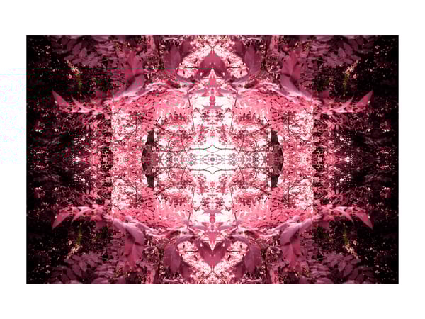 Image of Infrared #2