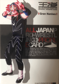 Image 1 of 2003 All Japan Pro Wrestling Profile Card