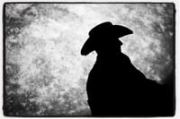 Cowboy Silhouette 