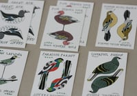 Image 1 of Birds We Lost - Pairs Game