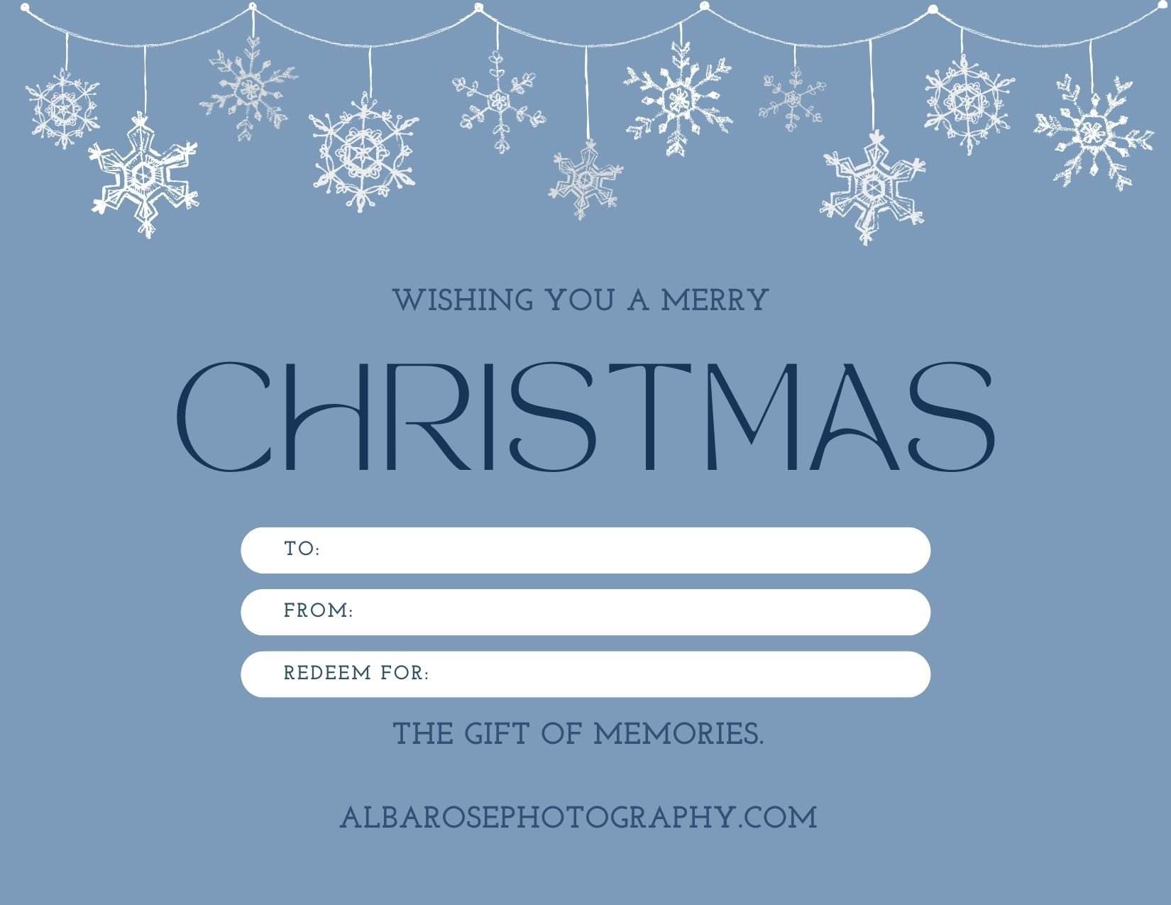 Image of Christmas Gift Certificate $50-100 discount