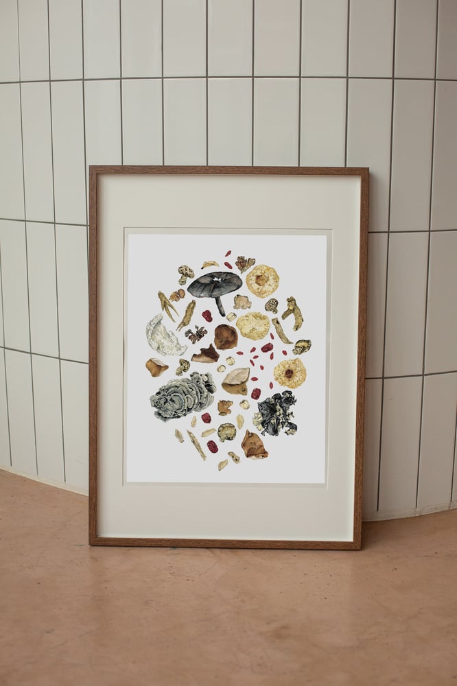 Image of 'Chinese Herbs' Giclée Limited Edition Art Print