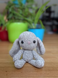 Andi 
