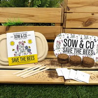 Image 3 of Save The Bees Eco Grow Kit - Sow & Co