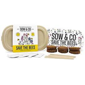 Image of Save The Bees Eco Grow Kit - Sow & Co