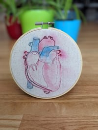 Anatomical Heart