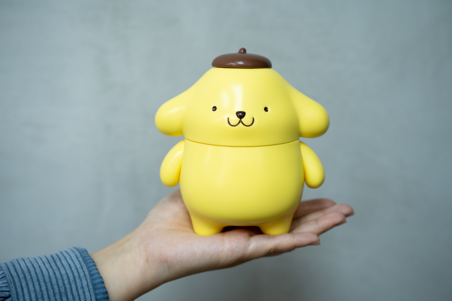 Image of POMPOMPURIN THE PUDDING DOG